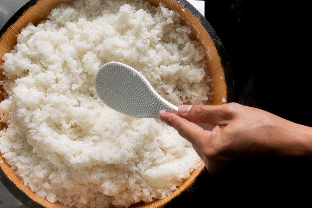 Freshly cooked sushi rice